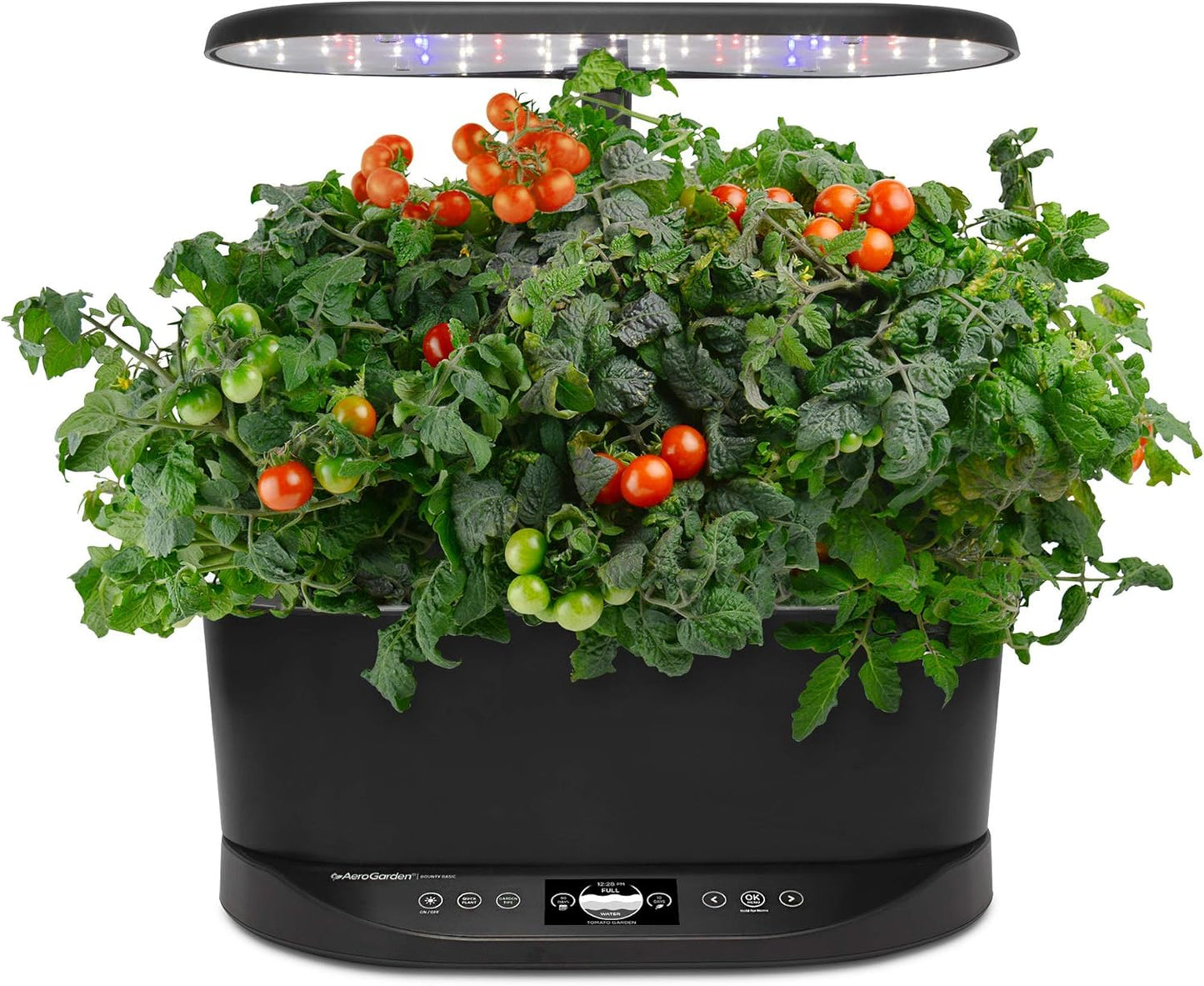 Bounty Basic Indoor Hydroponic Herb Garden, Black