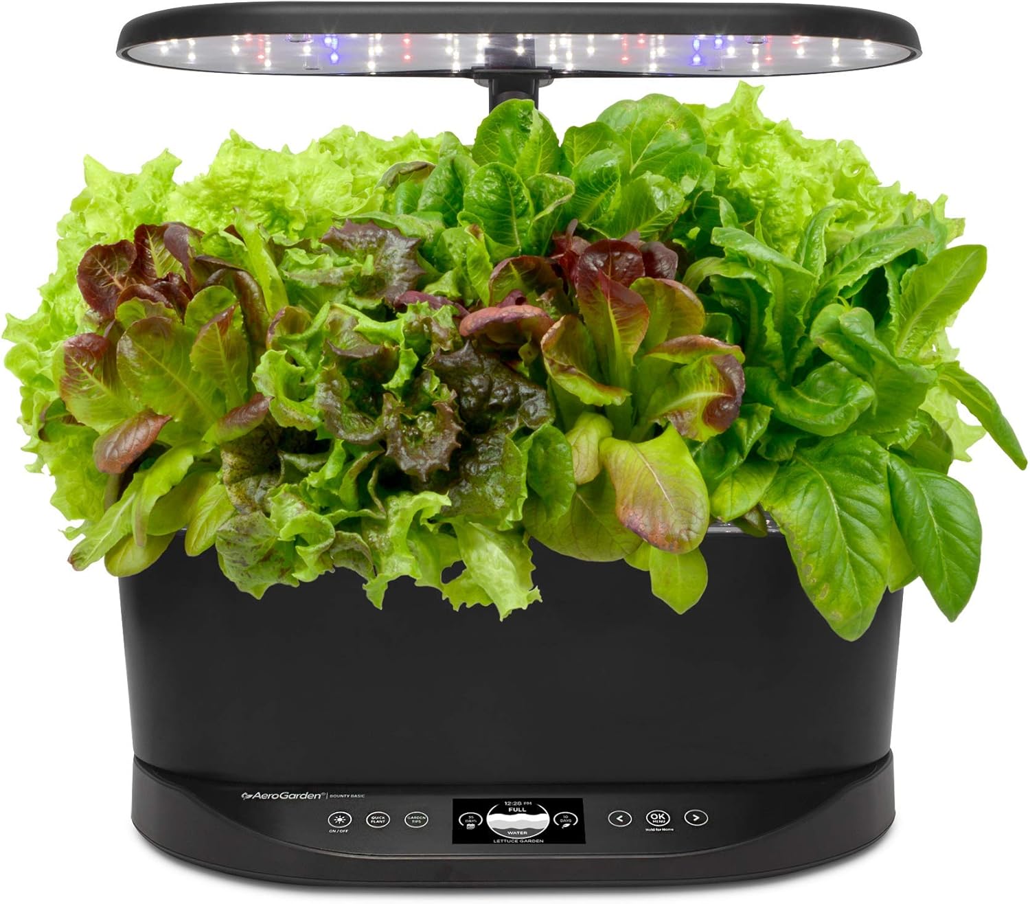 Bounty Basic Indoor Hydroponic Herb Garden, Black