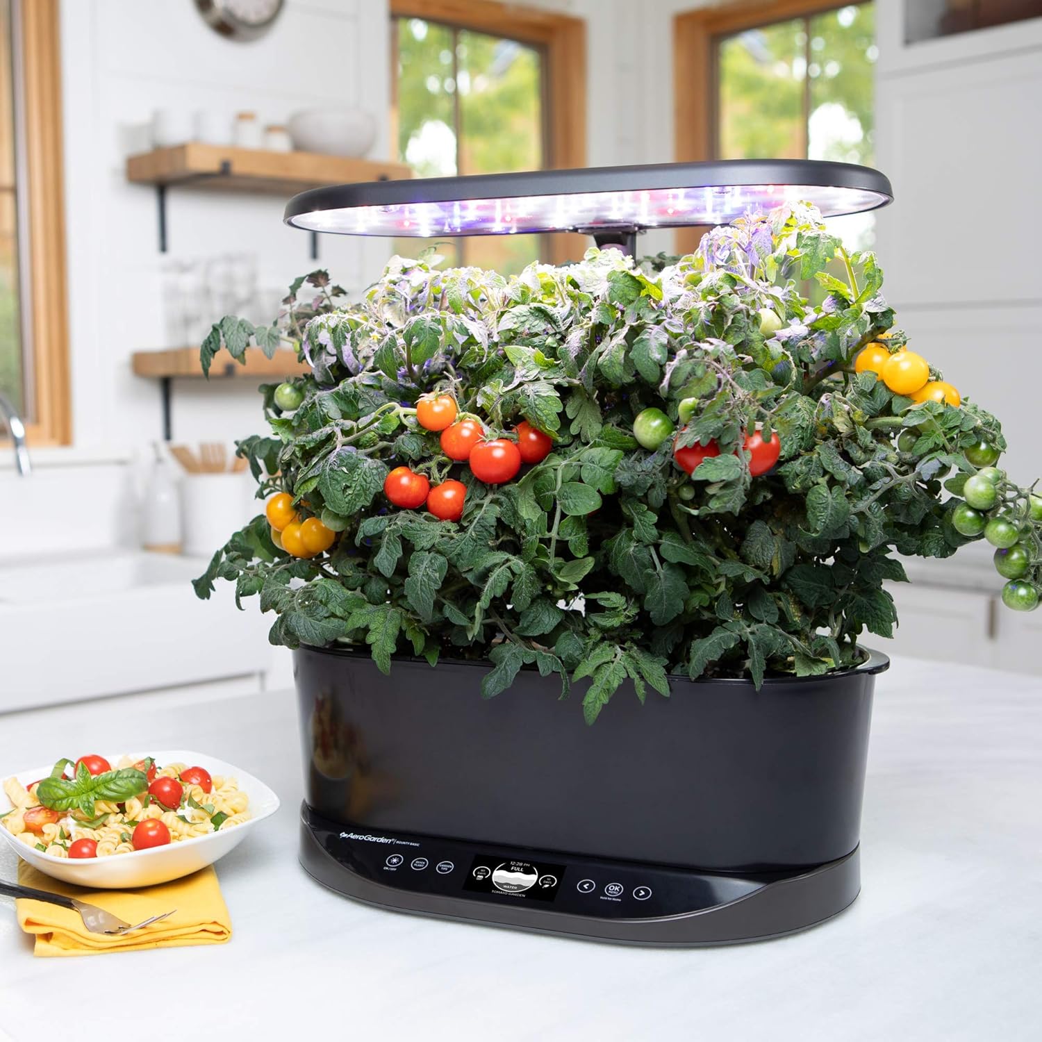 Bounty Basic Indoor Hydroponic Herb Garden, Black